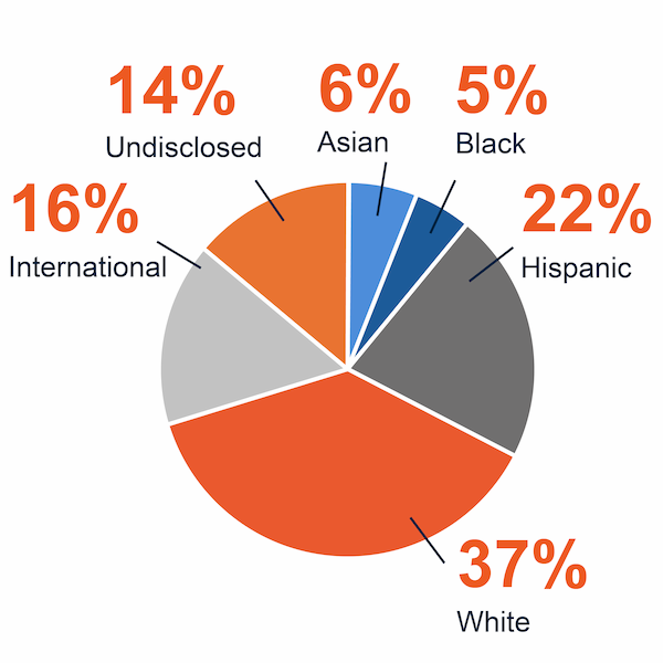 pie chart showing the diversity of new faculty: 6% Asian, 5% Black, 22% Hispanic, 38% White, 16% International, 14% undisclosed